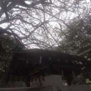 木村 おはようございます😊 熟女デリヘル倶楽部