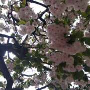 木村 今日はいい天気☀️ 熟女デリヘル倶楽部