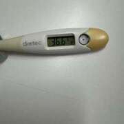 ヒメ日記 2025/04/11 13:17 投稿 エリサ(奥方) 奥様幕府