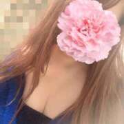 ヒメ日記 2025/04/11 18:59 投稿 エリサ(奥方) 奥様幕府