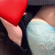 ヒメ日記 2025/04/12 05:17 投稿 エリサ(奥方) 奥様幕府