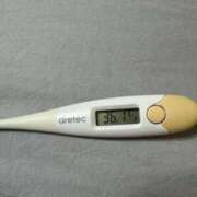 ヒメ日記 2025/04/14 13:47 投稿 エリサ(奥方) 奥様幕府