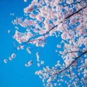 ヒメ日記 2025/04/13 18:02 投稿 七星(ななせ) グランドオペラ横浜