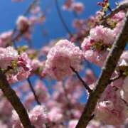 ヒメ日記 2025/04/16 17:00 投稿 七星(ななせ) グランドオペラ横浜