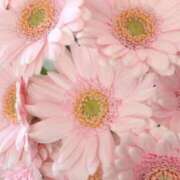 ヒメ日記 2025/11/21 15:49 投稿 みお 西船巨乳ぽっちゃり　乳神さま