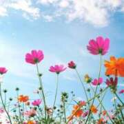 ヒメ日記 2025/11/26 13:29 投稿 みお 西船巨乳ぽっちゃり　乳神さま