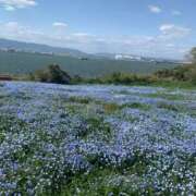 ヒメ日記 2026/02/20 09:09 投稿 みお 西船巨乳ぽっちゃり　乳神さま