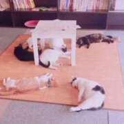 ヒメ日記 2026/02/24 18:49 投稿 みお 西船巨乳ぽっちゃり　乳神さま