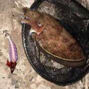 みお 戻りました🚗³₃ 西船巨乳ぽっちゃり　乳神さま