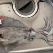 ヒメ日記 2026/03/09 13:19 投稿 みお 西船巨乳ぽっちゃり　乳神さま