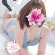 ヒメ日記 2025/09/19 23:32 投稿 桜花 さくら子 性の極み妻 好き者たちの宴