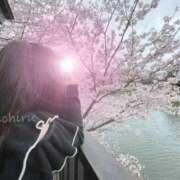 ヒメ日記 2026/04/04 11:01 投稿 みちる 小岩人妻花壇