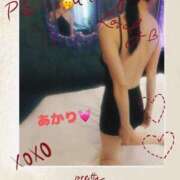 ヒメ日記 2025/04/24 12:20 投稿 明莉/あかり 五反田アネージュ（ユメオト）