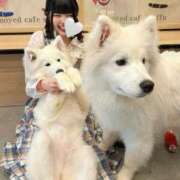 ヒメ日記 2025/05/25 20:36 投稿 ゆめ フォーチュン