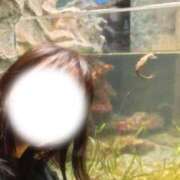 ヒメ日記 2025/11/04 08:37 投稿 蘭 角海老石亭