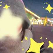 ヒメ日記 2025/12/23 08:35 投稿 蘭 角海老石亭