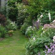 秋本 今日出勤します 鶯うぐ