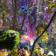 ヒメ日記 2025/05/04 19:30 投稿 さよこ 性腺熟女100％（デリヘル市場）