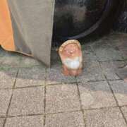 ヒメ日記 2025/08/06 15:06 投稿 こはく 熟女家 十三店