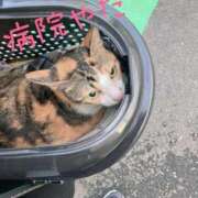 ヒメ日記 2025/10/04 17:03 投稿 こはく 熟女家 十三店