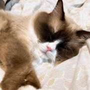 ヒメ日記 2025/10/30 15:20 投稿 こはく 熟女家 十三店