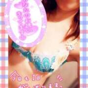 ヒメ日記 2025/04/15 13:04 投稿 ゆりか マダムバンク 富山本店