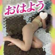 ヒメ日記 2025/11/24 12:00 投稿 ゆりか マダムバンク 富山本店