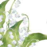 ヒメ日記 2025/09/17 18:54 投稿 影山 五月 こあくまな熟女たち 千葉店（KOAKUMAグループ）