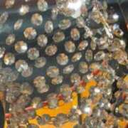 ヒメ日記 2026/03/06 15:58 投稿 影山 五月 こあくまな熟女たち 千葉店（KOAKUMAグループ）