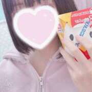 ヒメ日記 2025/04/18 18:28 投稿 ねむ 神田ハンドメイド