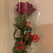 ヒメ日記 2025/06/14 17:58 投稿 そら 新宿平成女学園