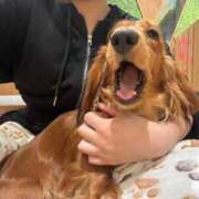 ヒメ日記 2025/08/18 21:11 投稿 そら 新宿平成女学園