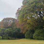 ヒメ日記 2025/11/05 07:37 投稿 そら 新宿平成女学園