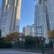 ヒメ日記 2025/11/14 07:38 投稿 そら 新宿平成女学園