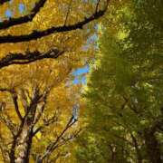 ヒメ日記 2025/11/17 19:51 投稿 そら 新宿平成女学園