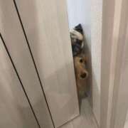 ヒメ日記 2025/07/25 01:39 投稿 KAHO『カホ』 GG