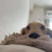 ヒメ日記 2025/09/01 21:19 投稿 KAHO『カホ』 GG