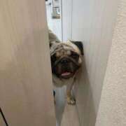 ヒメ日記 2025/09/04 17:09 投稿 KAHO『カホ』 GG