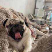 ヒメ日記 2025/10/06 18:24 投稿 KAHO『カホ』 GG