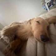 ヒメ日記 2025/10/15 16:29 投稿 KAHO『カホ』 GG