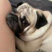 ヒメ日記 2025/10/19 18:47 投稿 KAHO『カホ』 GG