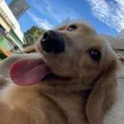 ヒメ日記 2025/11/06 19:59 投稿 KAHO『カホ』 GG