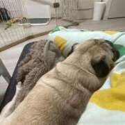 ヒメ日記 2025/11/13 23:29 投稿 KAHO『カホ』 GG