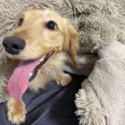 ヒメ日記 2025/12/17 19:09 投稿 KAHO『カホ』 GG