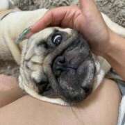 KAHO『カホ』 ぴえん GG