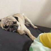 ヒメ日記 2026/03/24 09:59 投稿 KAHO『カホ』 GG