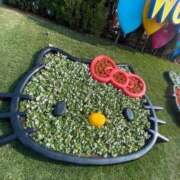 ヒメ日記 2025/05/19 04:39 投稿 さら デザインプリズム新宿