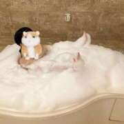 ヒメ日記 2025/08/26 02:23 投稿 YAMI（やみ） UTAKATA