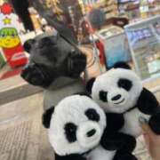 桜月えま 明日から LUXE(リュクス)