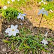 ヒメ日記 2026/03/24 14:54 投稿 はつの 濃厚即19妻